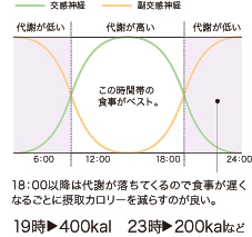 交感神経が活発な時間帯に食べよう!