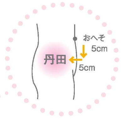おへその丹田の位置