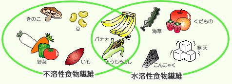 生理痛を改善するポイントは、食物繊維の食べ物