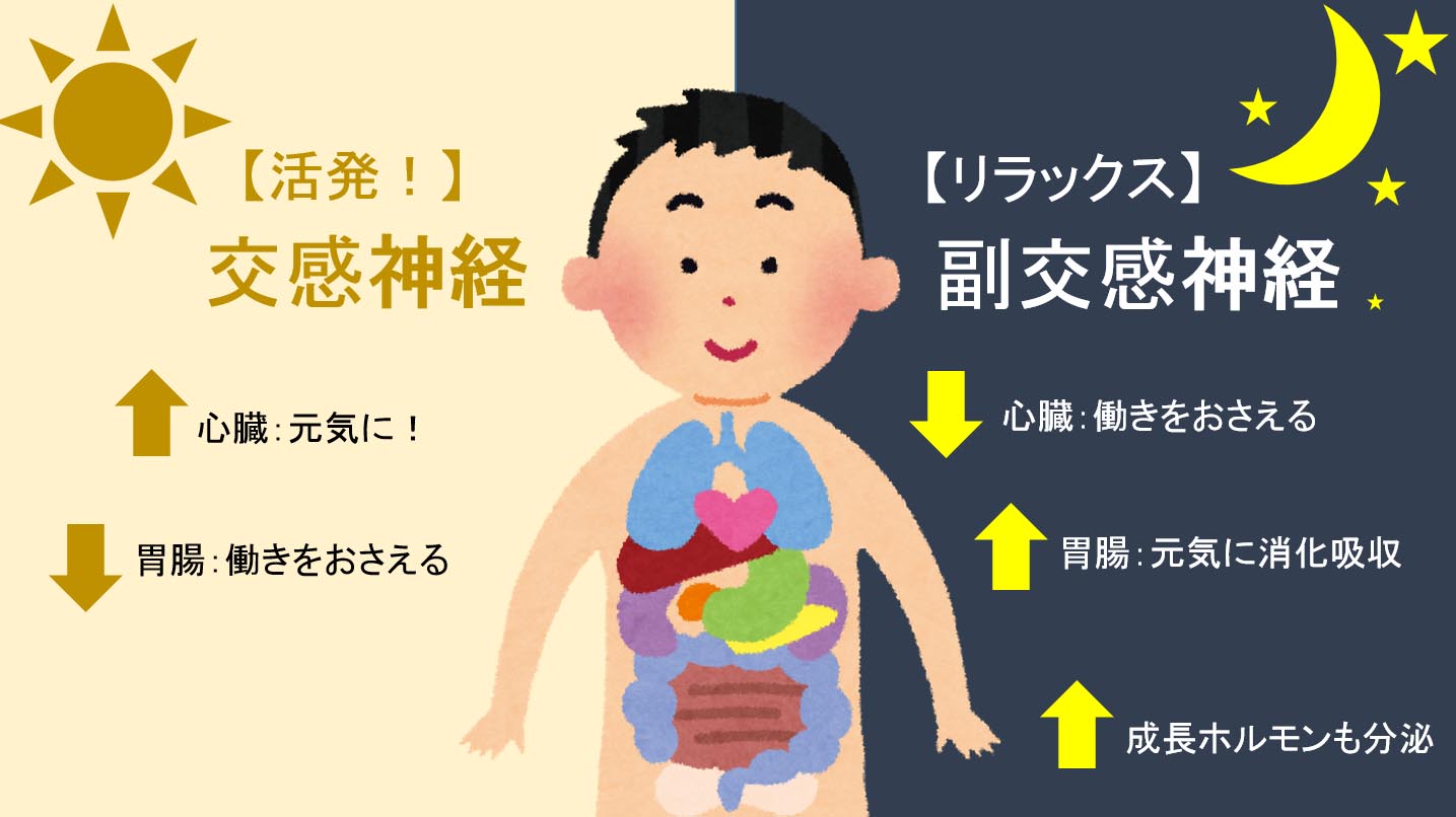 子供の自律神経 リラックス