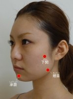 顔の新陳代謝を上げてほうれい線を消す