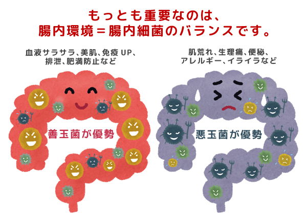 ぽっこりお腹を解消するためには腸内環境を整える