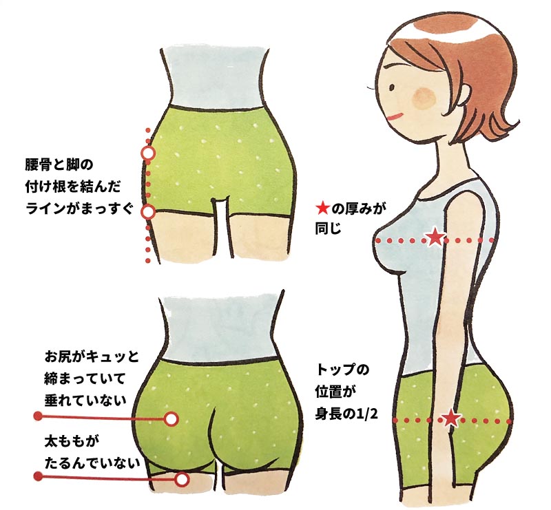 理想のお尻のバランス