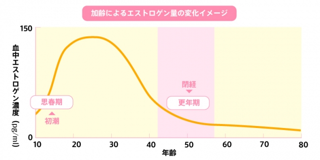加齢によるエストロゲンの分泌量の変化