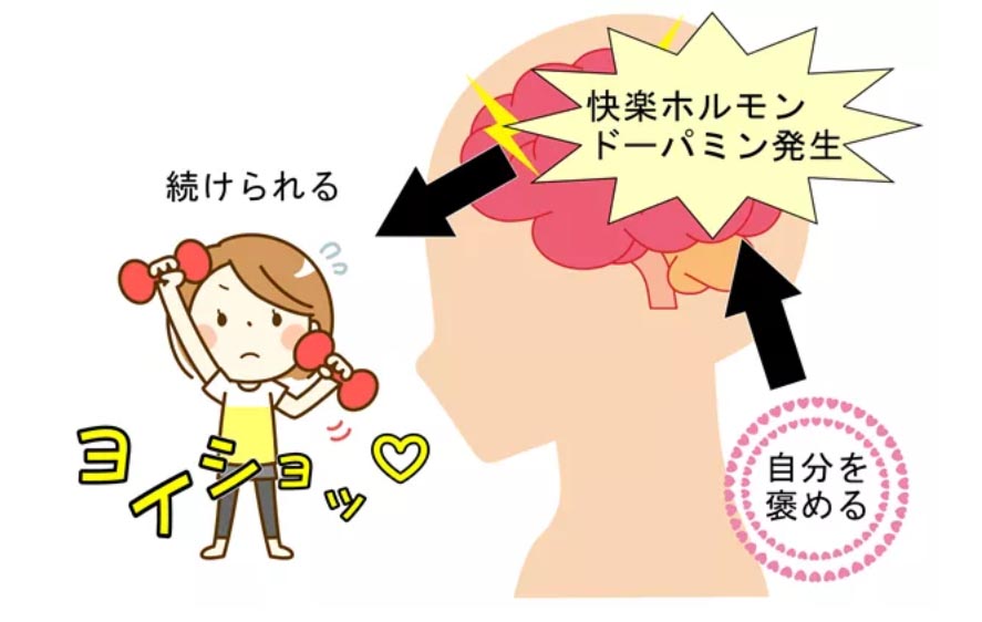 膣トレダイエットはドーパミンの分泌を促進