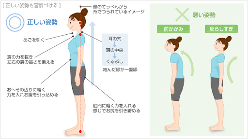 正しい姿勢を身に付けよう